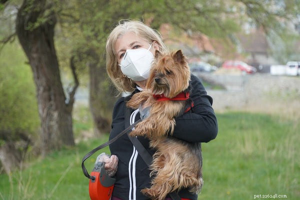 Dog CPR: Essential Life‑Saving Techniques Every Owner Should Know