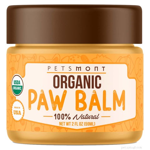 Dog Paw Care: Expert Tips for Healthy Paws