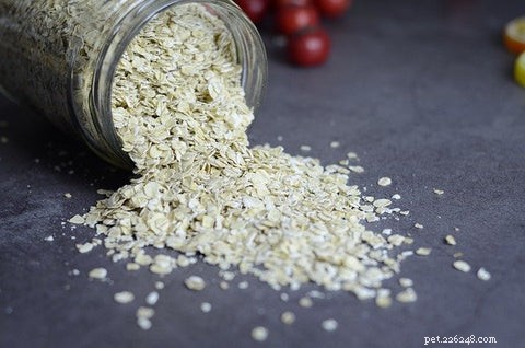 21 Proven Natural Remedies to Relieve Your Dog’s Allergies & Itching