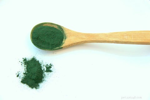 21 Proven Natural Remedies to Relieve Your Dog’s Allergies & Itching
