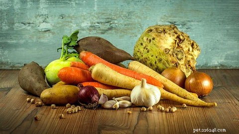 Homemade Dog Food: 5 Benefits, 5 Common Pitfalls – A Vet‑Approved Guide