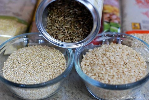Homemade Dog Food: 5 Benefits, 5 Common Pitfalls – A Vet‑Approved Guide