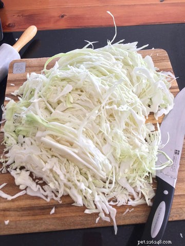 Can Dogs Safely Eat Sauerkraut? 5 Proven Health Benefits