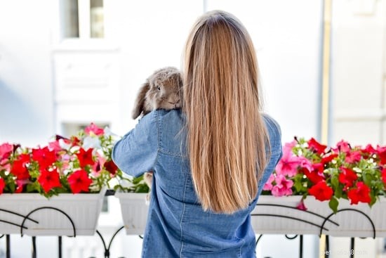 How High Can Rabbits Jump? Safety Tips for Owners