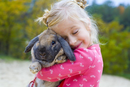How Rabbits Express Love: Understanding Their Affectionate Signals