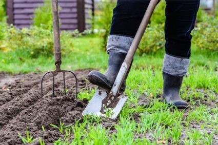 Can Rabbit Poop Enhance Your Garden? Trusted Tips on Using Rabbit Manure as Fertilizer