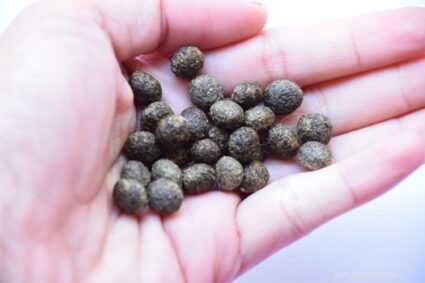 Can Rabbit Poop Enhance Your Garden? Trusted Tips on Using Rabbit Manure as Fertilizer