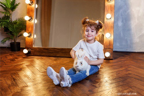 Can Rabbits Recognize Their Own Reflection? Insights on Rabbit Mirror Behavior