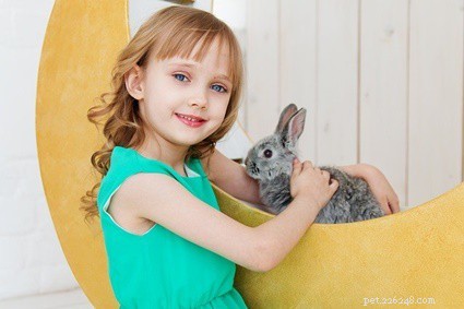 Do Rabbits Really Choose a Favorite Human? How Bonds Grow with Positive Interaction