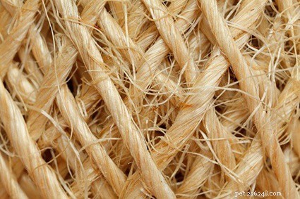Which Rope Is Safe for Rabbits? Choosing Natural Fibers like Jute, Sisal, and Hemp