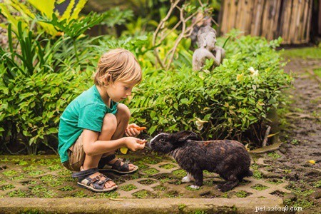 Do Pet Rabbits Experience Allergies? A Comprehensive Guide to Food, Seasonal, Hay, and Dust Triggers