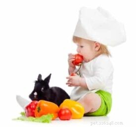 Are Peppers Safe for Rabbits? A Quick Guide