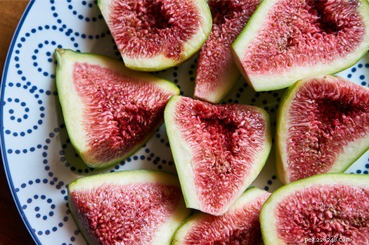 Are Figs Safe for Rabbits? Feeding Tips & Health Guidelines