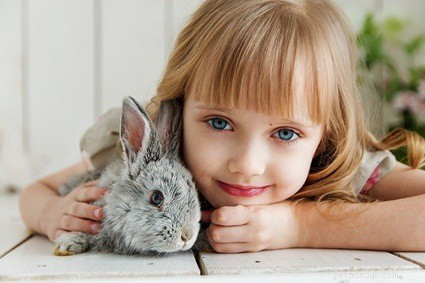 Can Rabbits Safely Enjoy Bananas? A Guide to Healthy Feeding