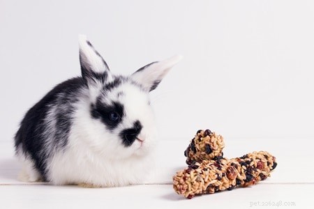 Can Your Rabbit Safely Eat Dry Cereals? Expert Advice on Cornflakes, Granola, Oatmeal & Bran Flakes