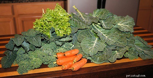 Are Collard Greens Safe for Your Rabbit? A Comprehensive Feeding Guide