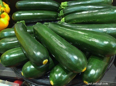Can Rabbits Safely Eat Zucchini? Full Guide on Leaves, Stems, Seeds & More