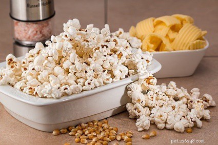 Why Rabbits Should Avoid Popcorn and Corn: Health Risks Explained