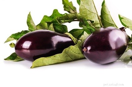 Is Eggplant Safe for Your Rabbit? A Complete Feeding Guide