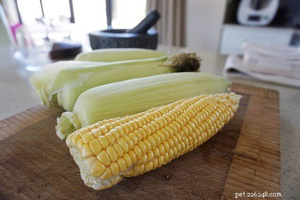 Can Rabbits Safely Eat Sweetcorn? – Health Risks & Why It’s Best to Avoid