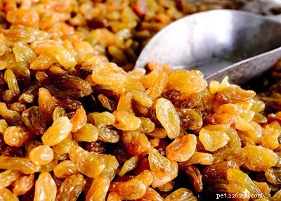 Raisins for Rabbits: Safe? Nutritional Benefits & Risks