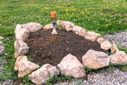 Proper Ways to Dispose of a Deceased Pet Rabbit