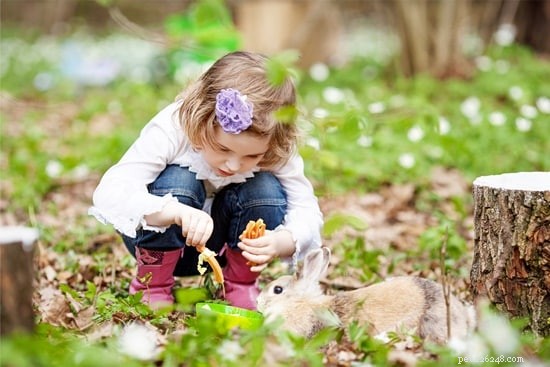 17 Simple Ways to Enrich Your Rabbit’s Life