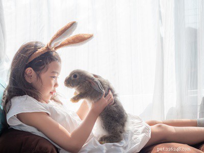 Essential Guide to Caring for Your Senior Rabbit