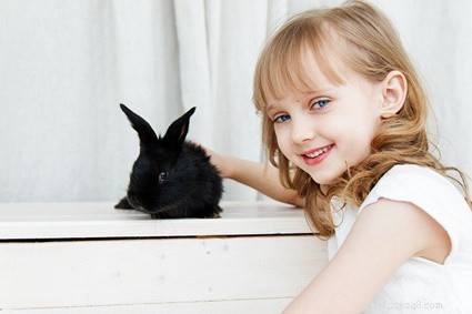 How Much Time Should You Spend With Your Rabbit? A Guide to Bunny Bonding