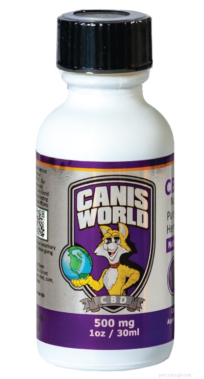 How CBD Can Help Your Cat s Health and Well-Being