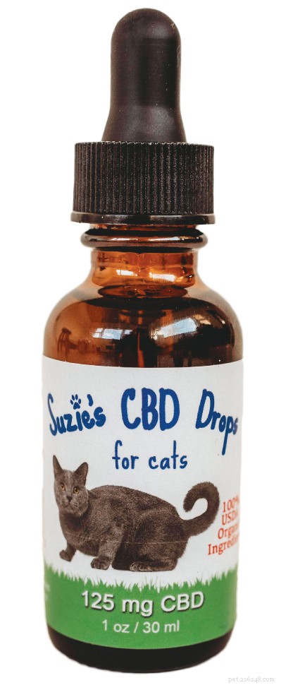 How CBD Can Help Your Cat s Health and Well-Being
