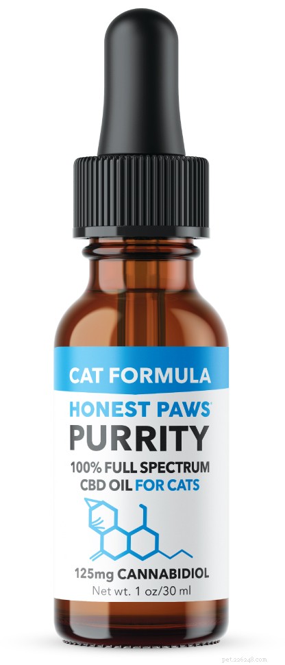 How CBD Can Help Your Cat s Health and Well-Being