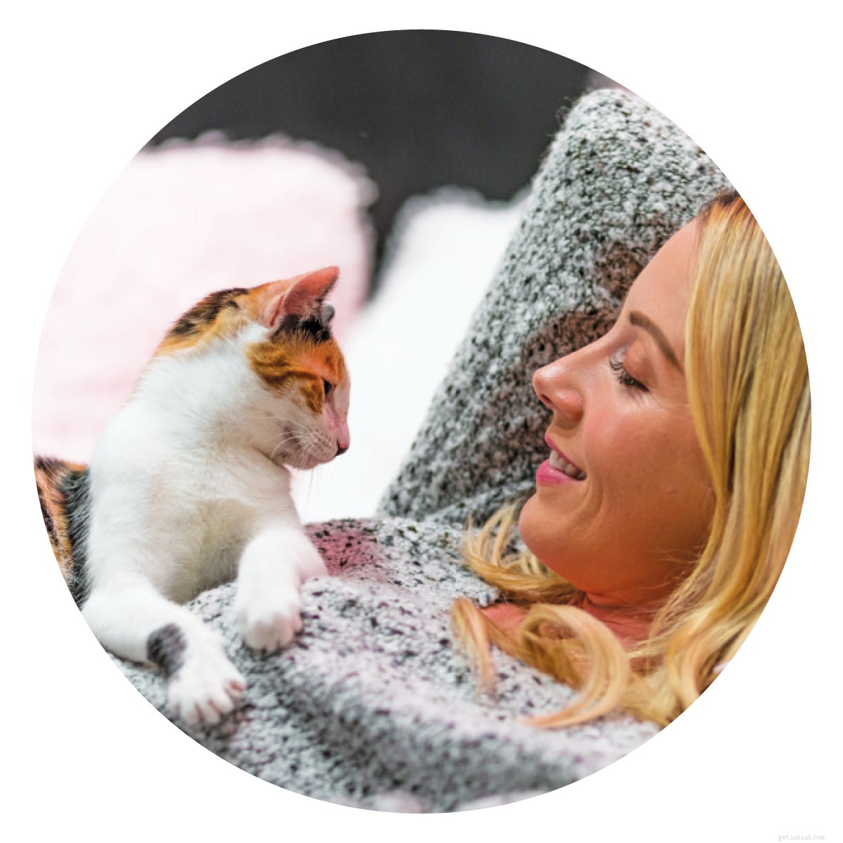 Cat Cafés: A Global Trend for Feline-Friendly Coffee Experiences