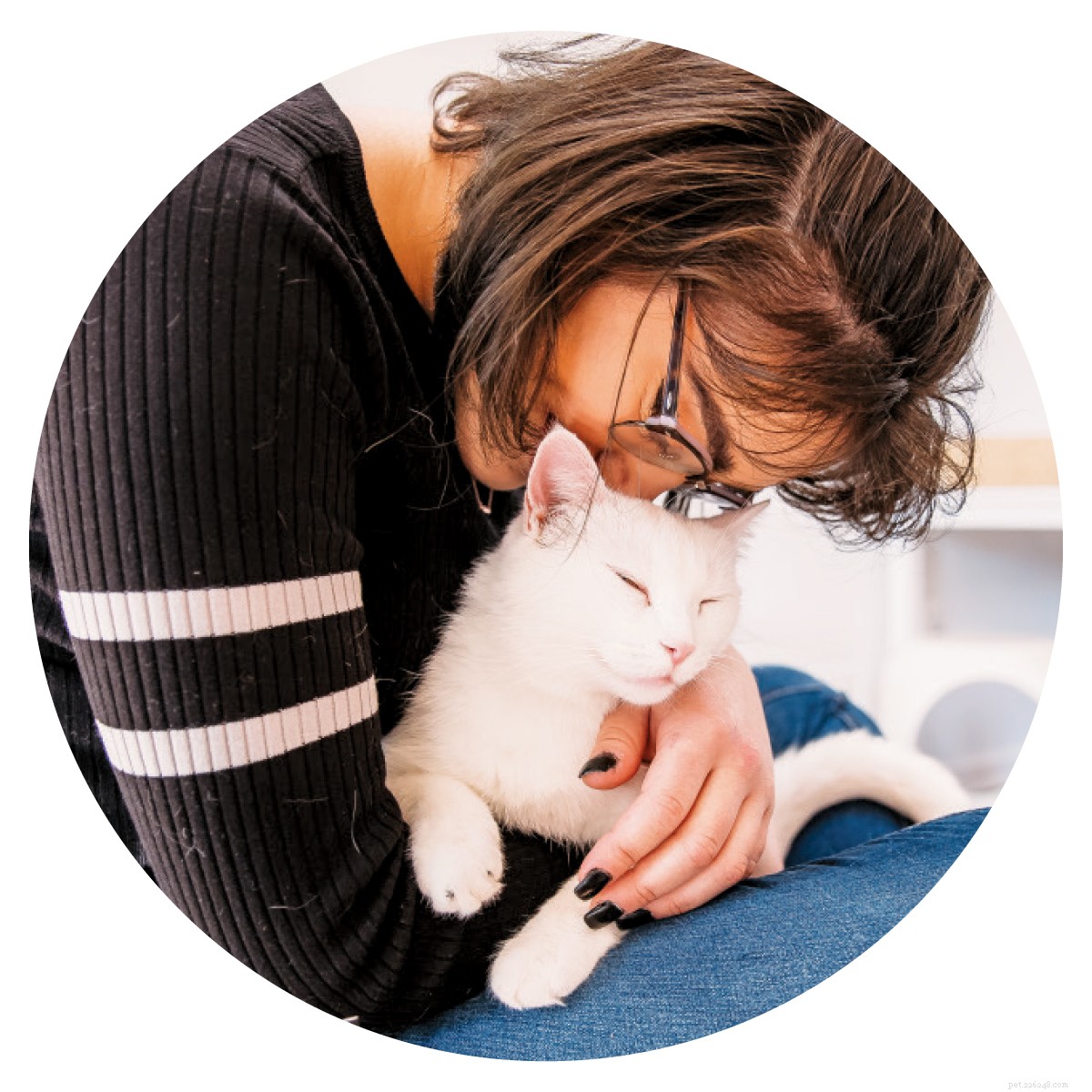 Cat Cafés: A Global Trend for Feline-Friendly Coffee Experiences