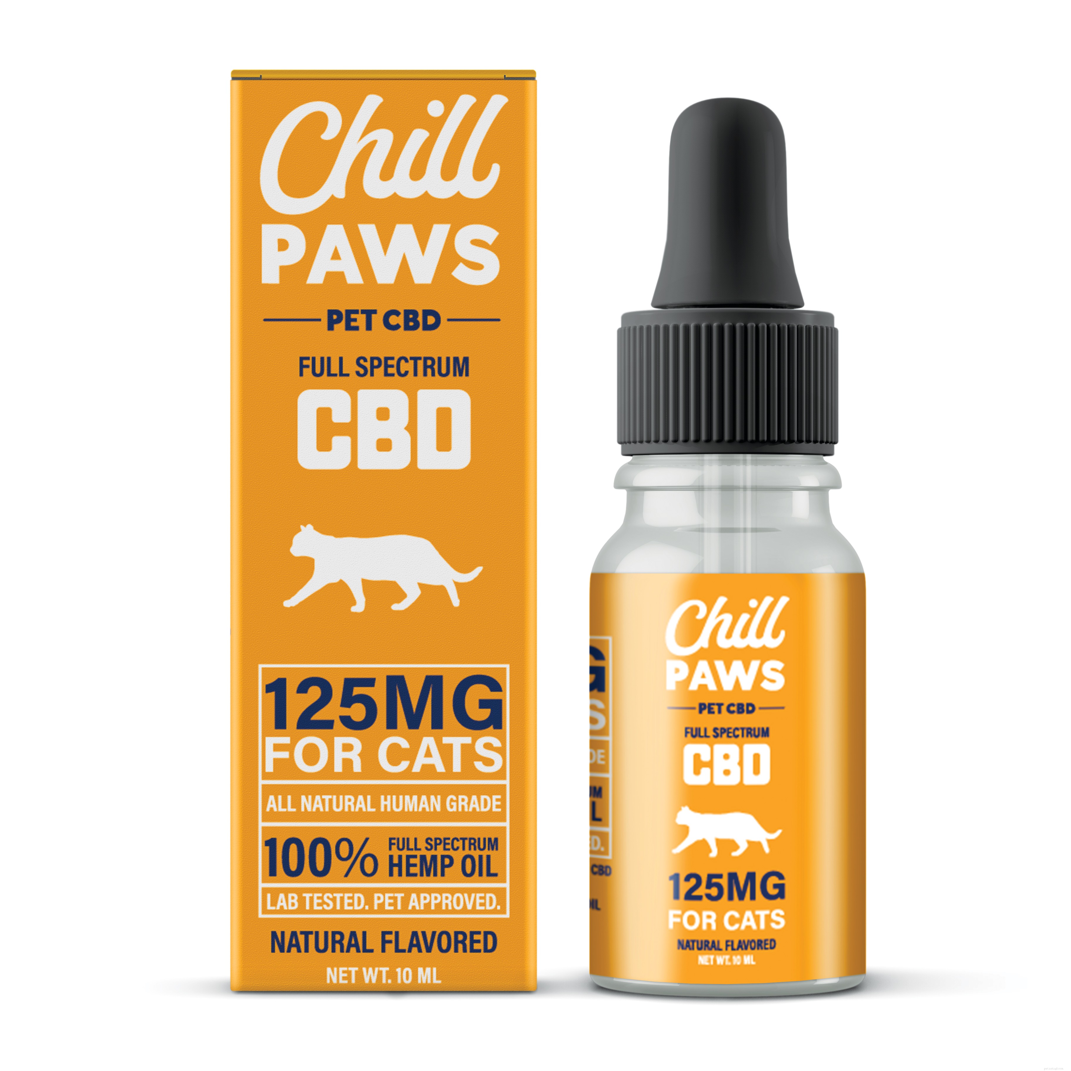 Is Cat CBD a Trusted Solution for Your Pet’s Health?