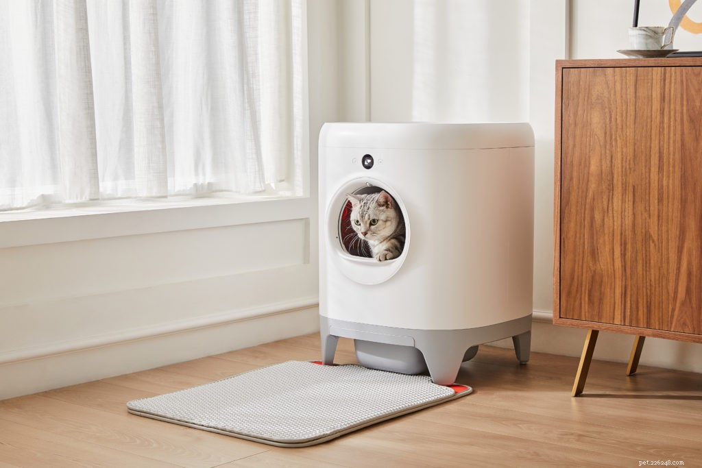 2020 Holiday Gift Guide for Cat Owners: Smart Litter, Wellness & More