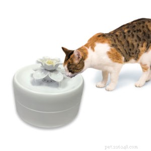 2020 Holiday Gift Guide for Cat Owners: Smart Litter, Wellness & More