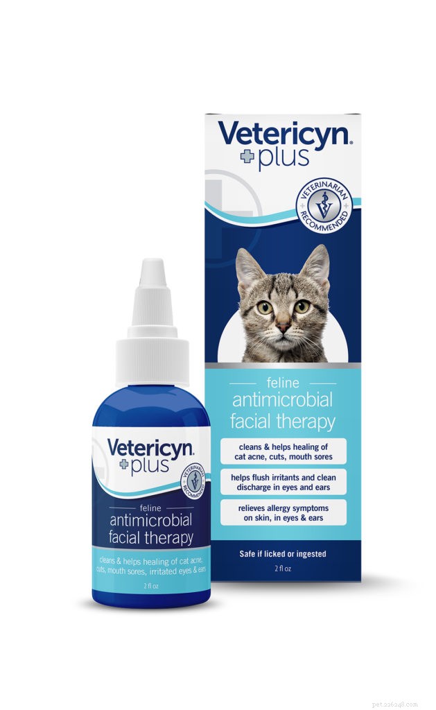2020 Holiday Gift Guide for Cat Owners: Smart Litter, Wellness & More
