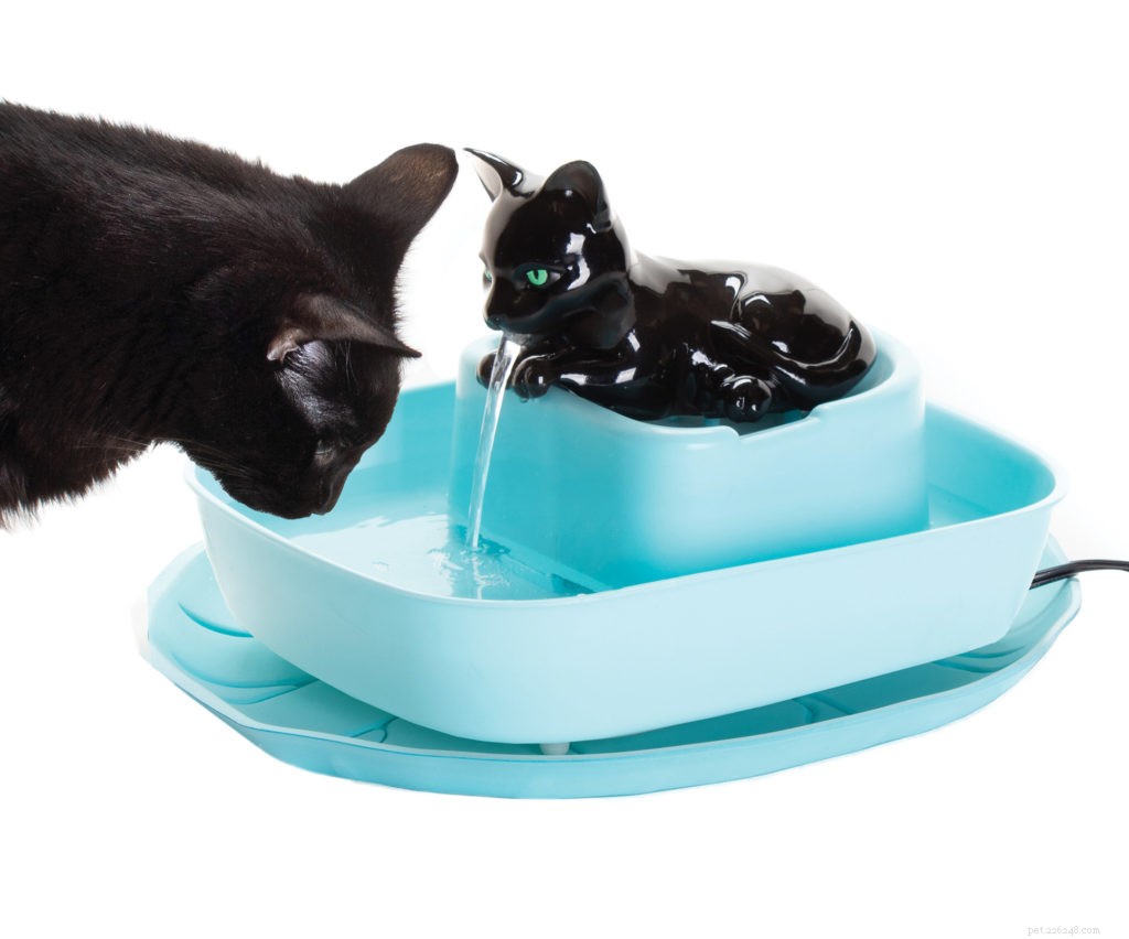 2020 Holiday Gift Guide for Cat Owners: Smart Litter, Wellness & More