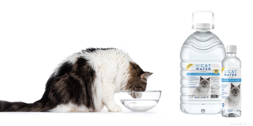 2020 Holiday Gift Guide for Cat Owners: Smart Litter, Wellness & More