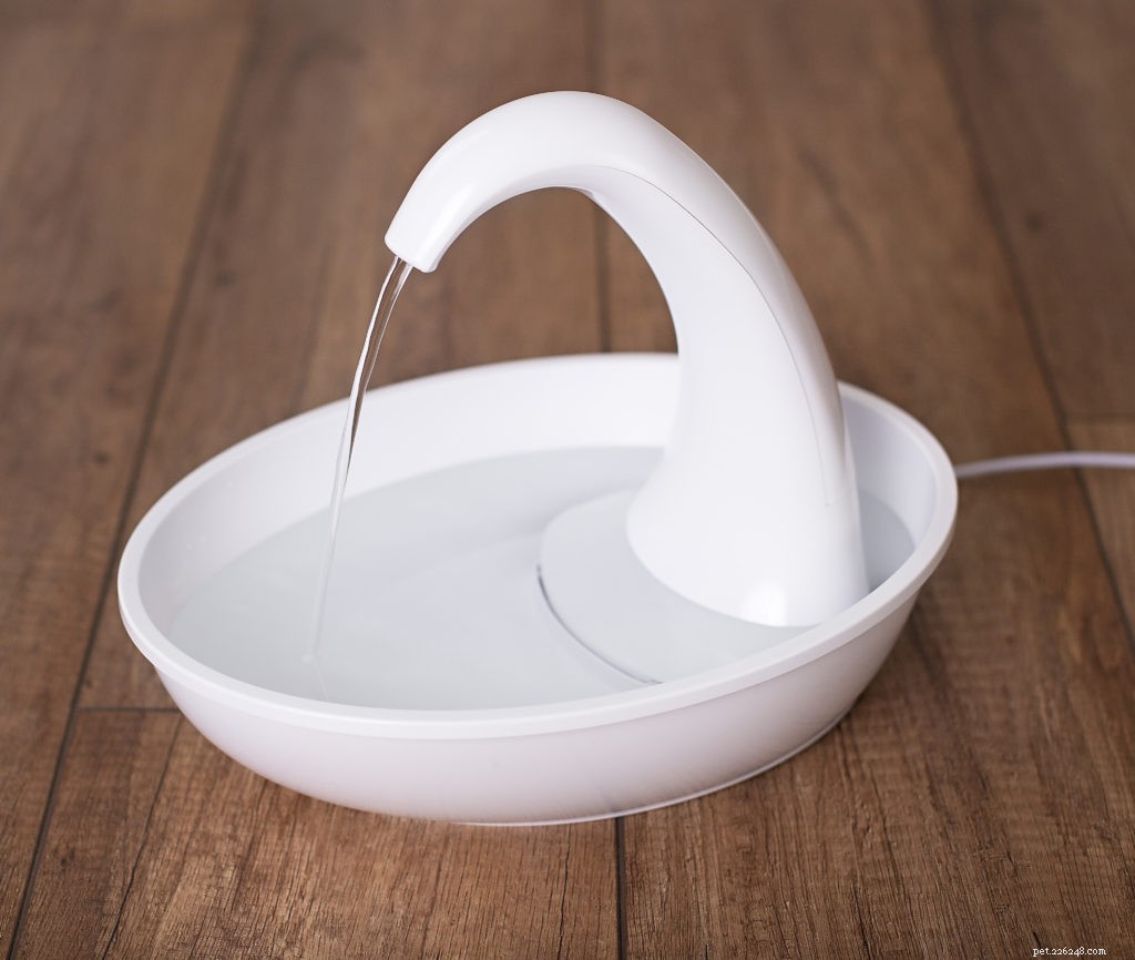 2020 Holiday Gift Guide for Cat Owners: Smart Litter, Wellness & More