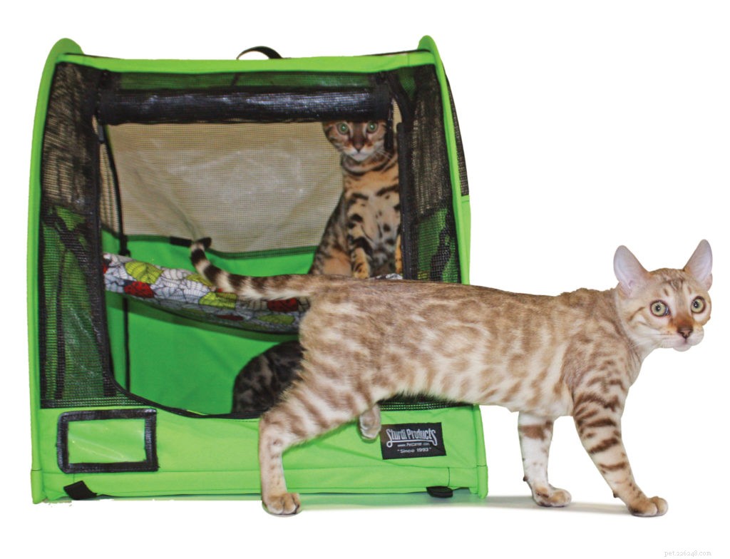 2020 Holiday Gift Guide for Cat Owners: Smart Litter, Wellness & More