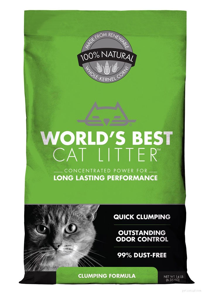 Top Cat Litter Picks of 2021: Clean, Odor‑Control & Cat‑Friendly Solutions
