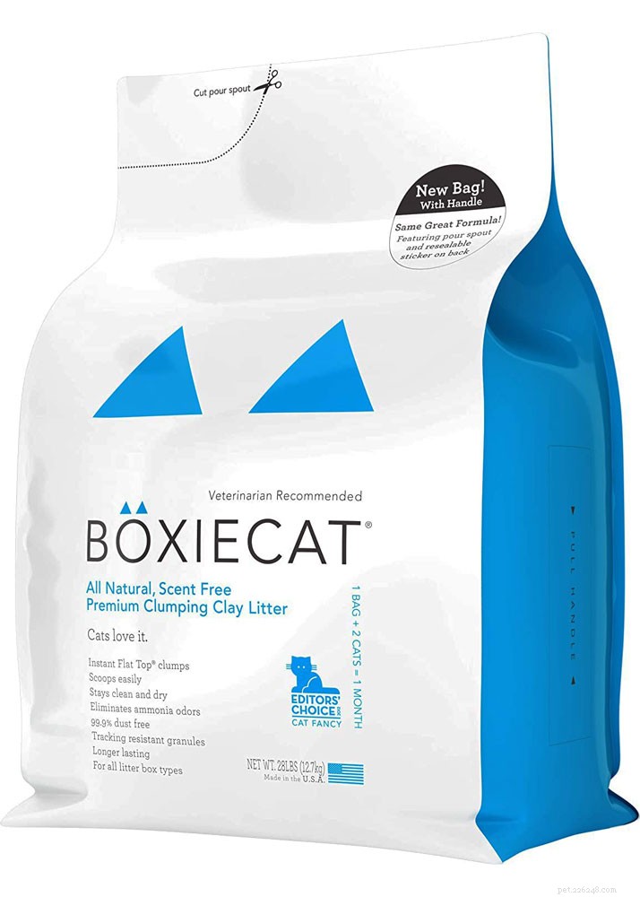 Top Cat Litter Picks of 2021: Clean, Odor‑Control & Cat‑Friendly Solutions