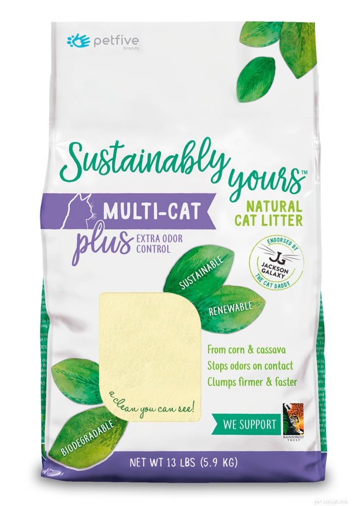 Top Cat Litter Picks of 2021: Clean, Odor‑Control & Cat‑Friendly Solutions