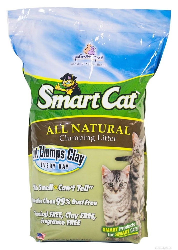 Top Cat Litter Picks of 2021: Clean, Odor‑Control & Cat‑Friendly Solutions