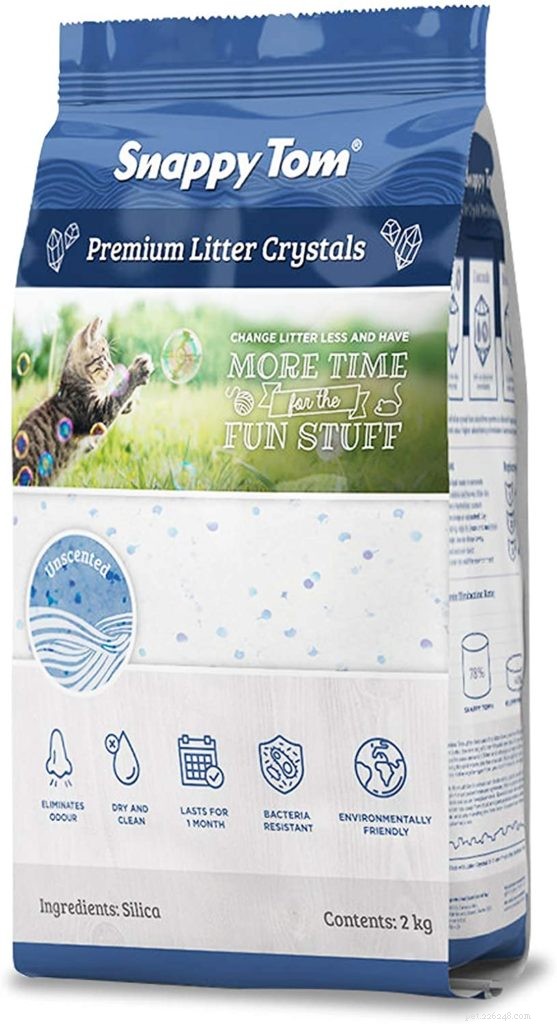 Top Cat Litter Picks of 2021: Clean, Odor‑Control & Cat‑Friendly Solutions