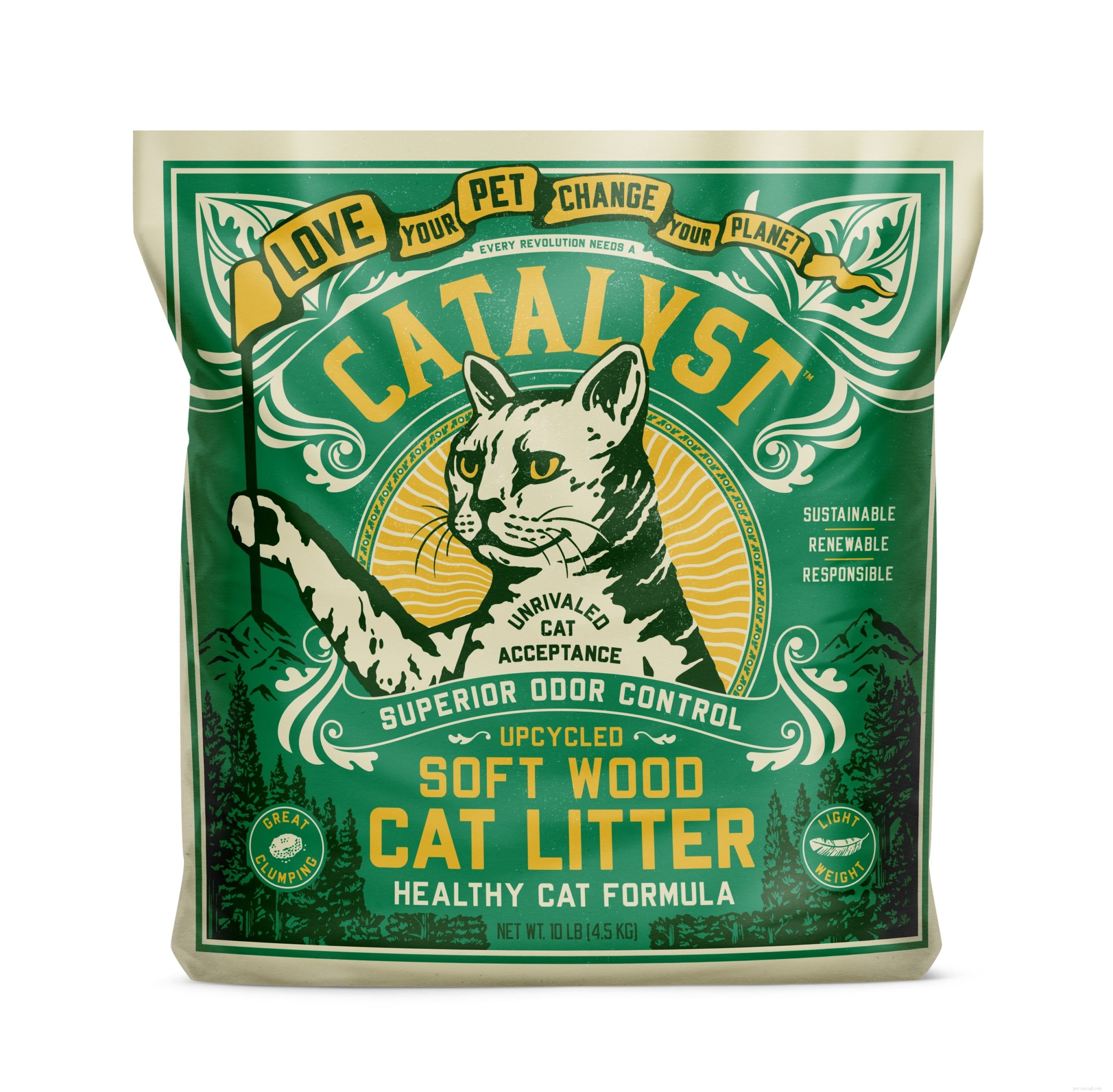 Top Cat Litter Picks of 2021: Clean, Odor‑Control & Cat‑Friendly Solutions