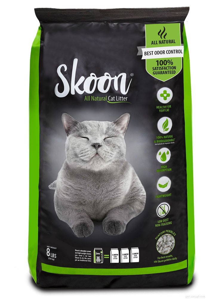 Top Cat Litter Picks of 2021: Clean, Odor‑Control & Cat‑Friendly Solutions
