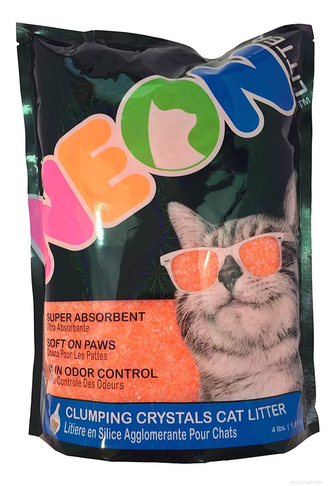 Top Cat Litter Picks of 2021: Clean, Odor‑Control & Cat‑Friendly Solutions